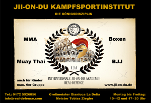 Anzeige-Kampfsportinstitutpf
